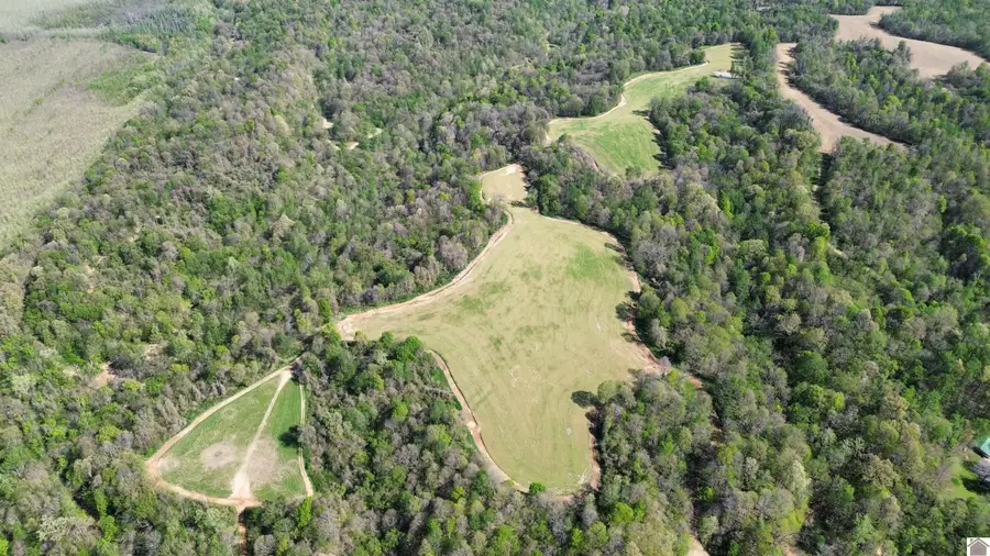 378 County Road 1219, Arlington, KY 42021 - #2