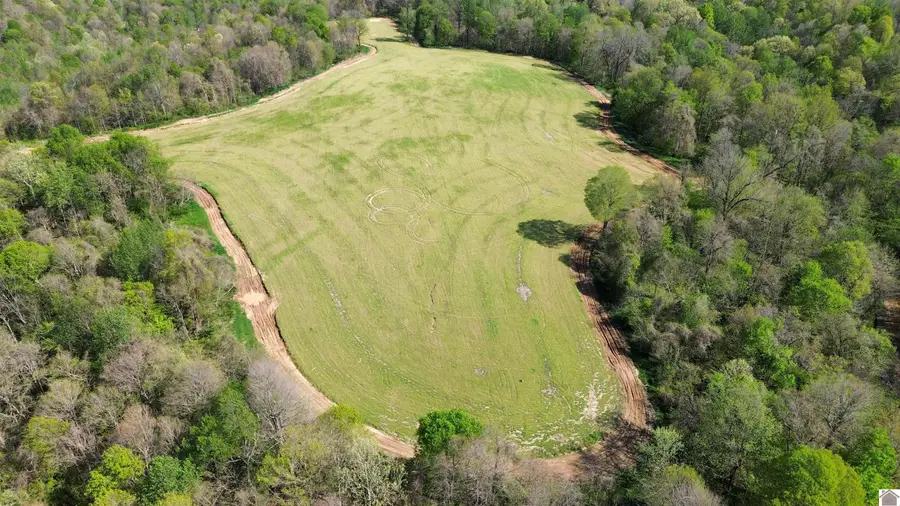 378 County Road 1219, Arlington, KY 42021 - #3