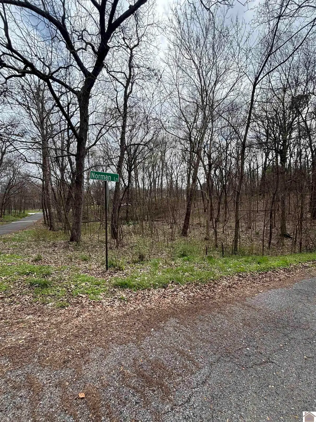 Lot 23 Norman Ln, Mayfield, KY 42066 - #1