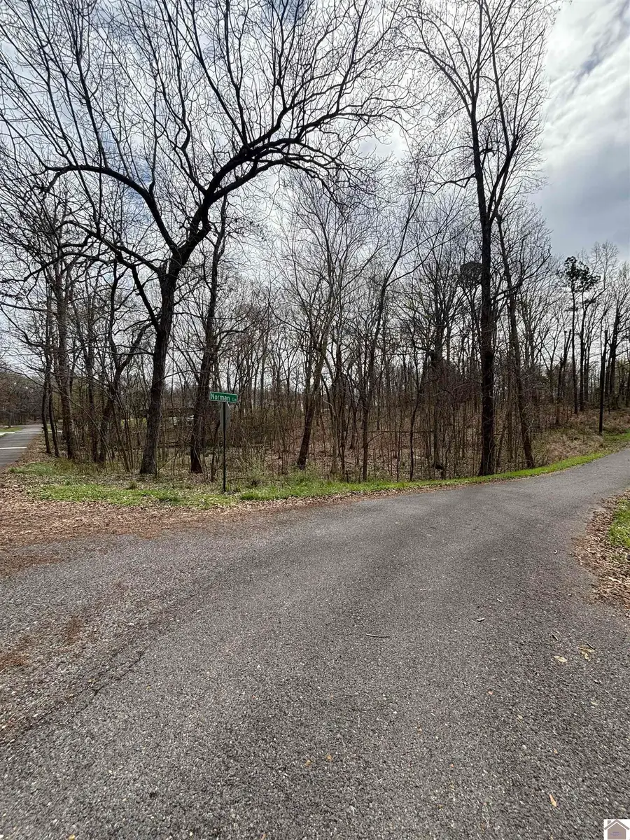 Lot 23 Norman Ln, Mayfield, KY 42066 - #3