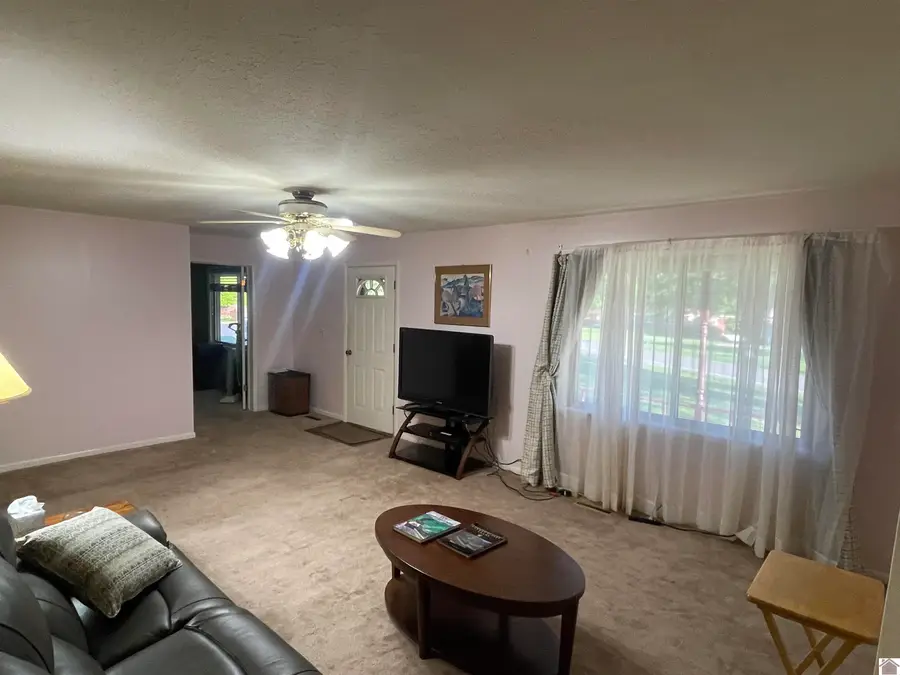 114 State Route 58 E, Clinton, KY 42031-9421 - #3