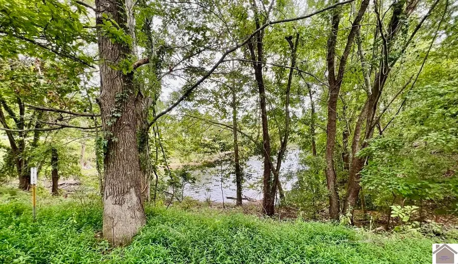 1 Magnolia Dr., Kuttawa, KY 42055 - #2