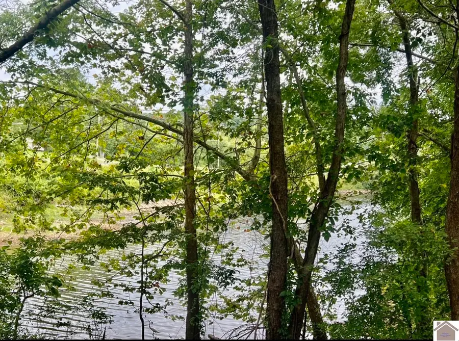 1 Magnolia Dr., Kuttawa, KY 42055 - #3