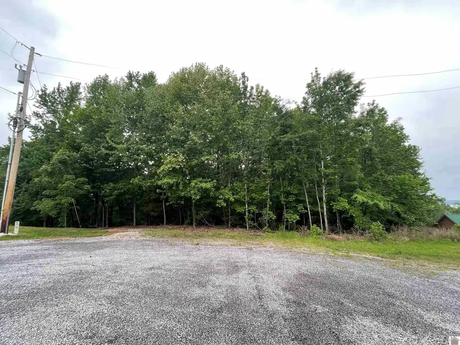 Lot 6 Mallard Shores, Cadiz, KY 42211 - #2