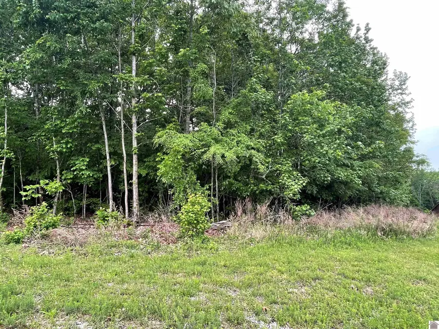 Lot 6 Mallard Shores, Cadiz, KY 42211 - #3
