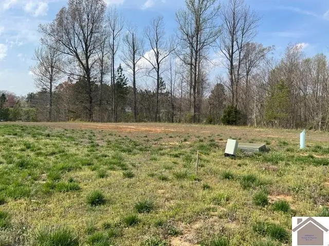 160 Low Ridge Lane, Paducah, KY 42003 - #2