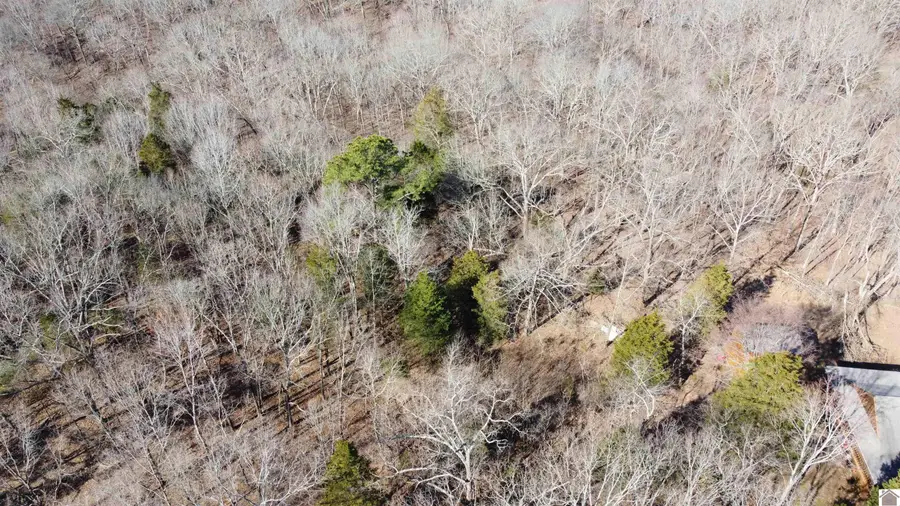 Lot 191 And 192 Lookout Lane, Murray, KY 42071 - #3