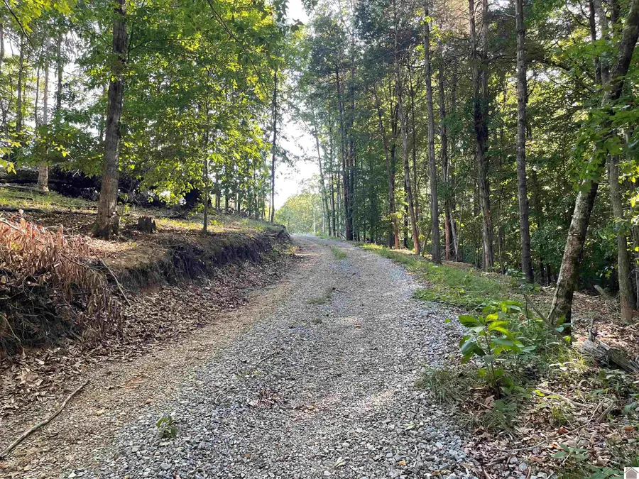 4023 Maple Grove Rd, Cadiz, KY 42211 - #2