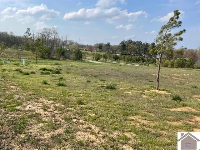 180 Falling Brook Dr, Paducah, KY 42003 - #3