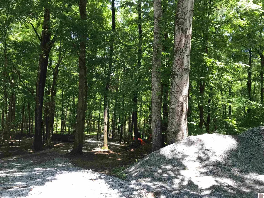 88e &89e Canton Heights A, Cadiz, KY 42211 - #2