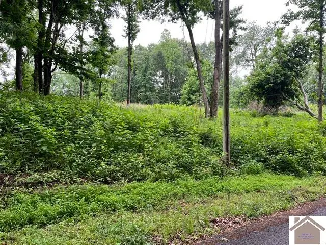449 Baker Lane, Cadiz, KY 42211 - #3