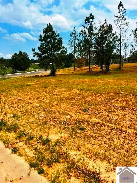 295 Hidden Valley Dr, Paducah, KY 42003 - #2