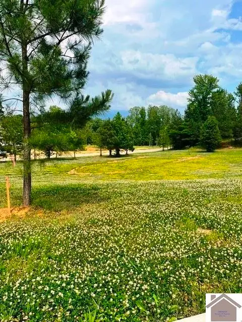 295 Hidden Valley Dr, Paducah, KY 42003 - #3