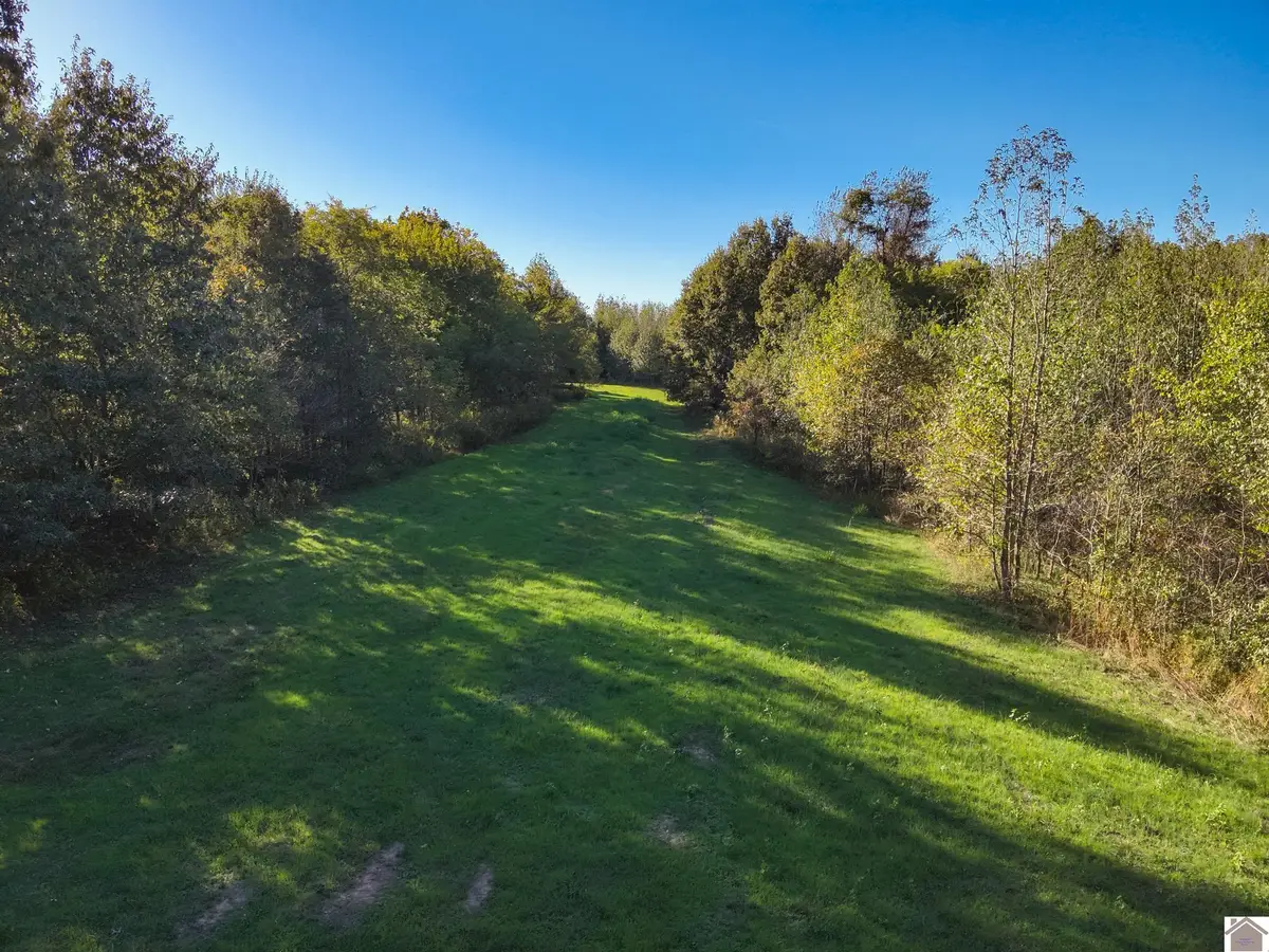 115 County Road 1039, Bardwell, KY 42023 - #1