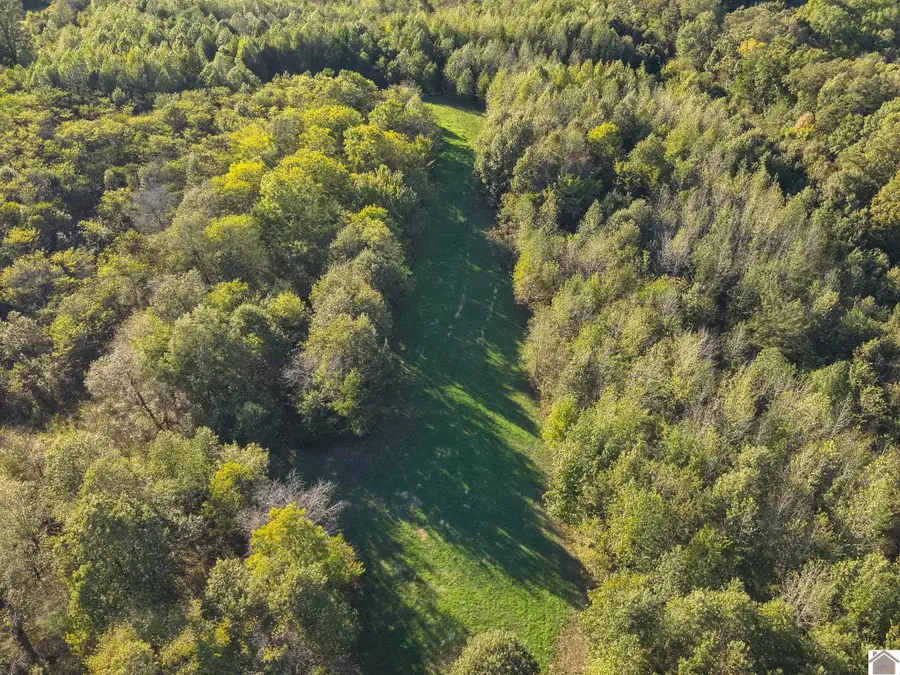 115 County Road 1039, Bardwell, KY 42023 - #3