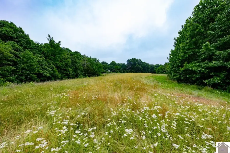 000 Buffalo Road, New Concord, KY 42076 - #2