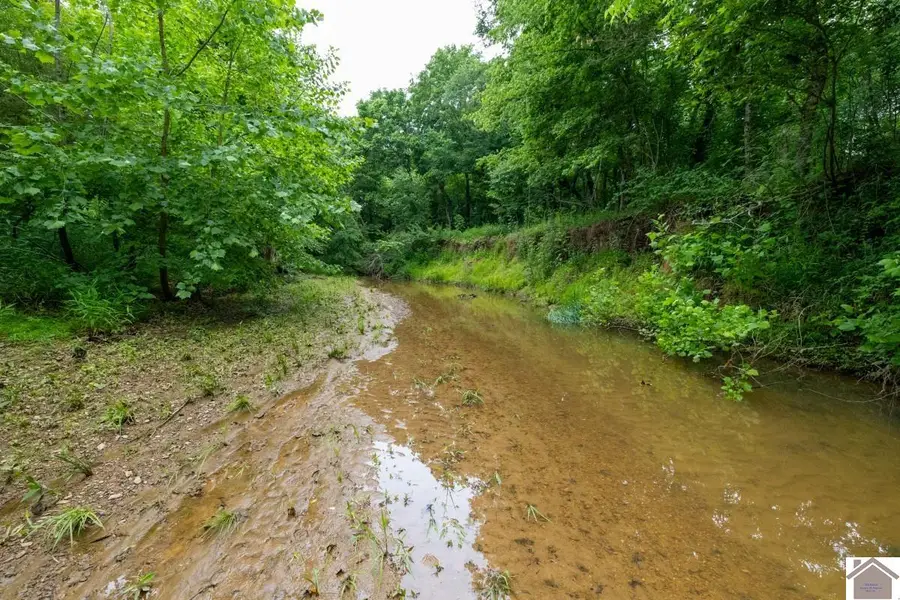 000 State Line Road East, Hazel, KY 42049 - #2
