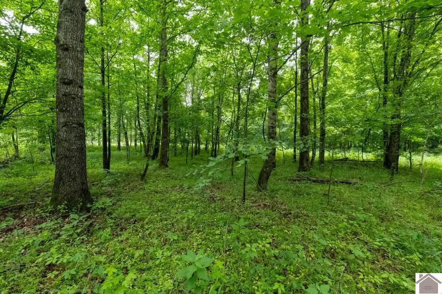 000 State Line Road East, Hazel, KY 42049 - #3