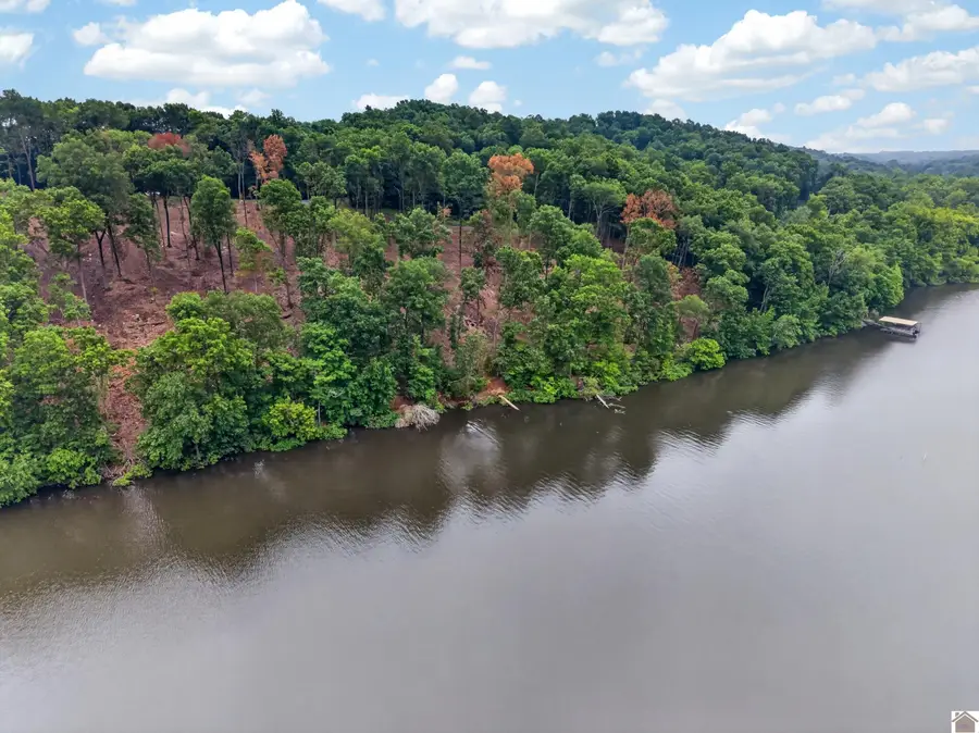 000 Elwood Road Lot #11, Eddyville, KY 42038 - #3