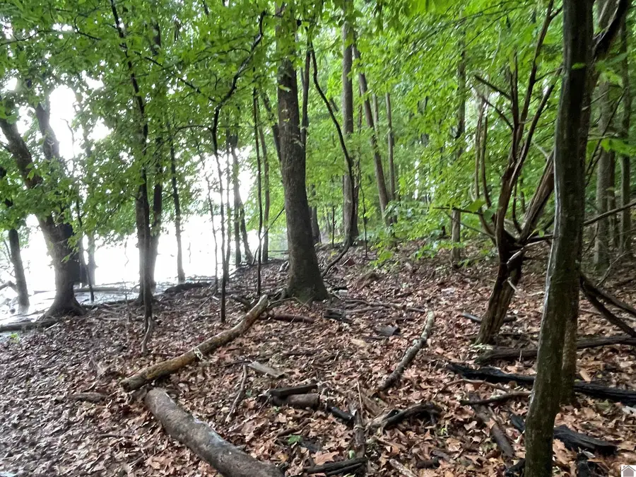 Lot 33 Siloam Pt Ii, Cadiz, KY 42211 - #2