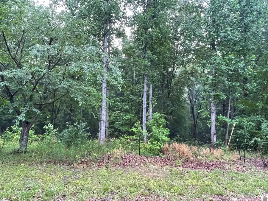 Lot 33 Siloam Pt Ii, Cadiz, KY 42211 - #3