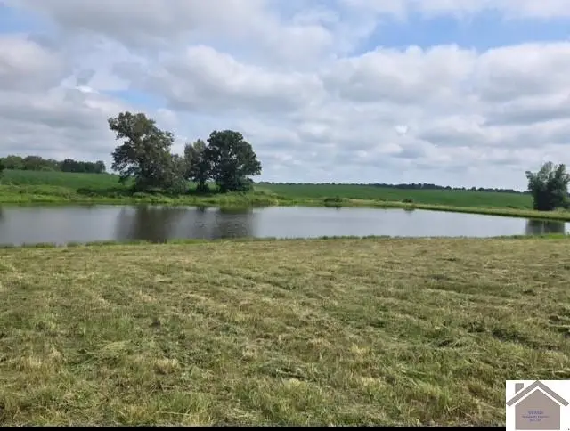 00 State Route 339, Mayfield, KY 42066 - #2