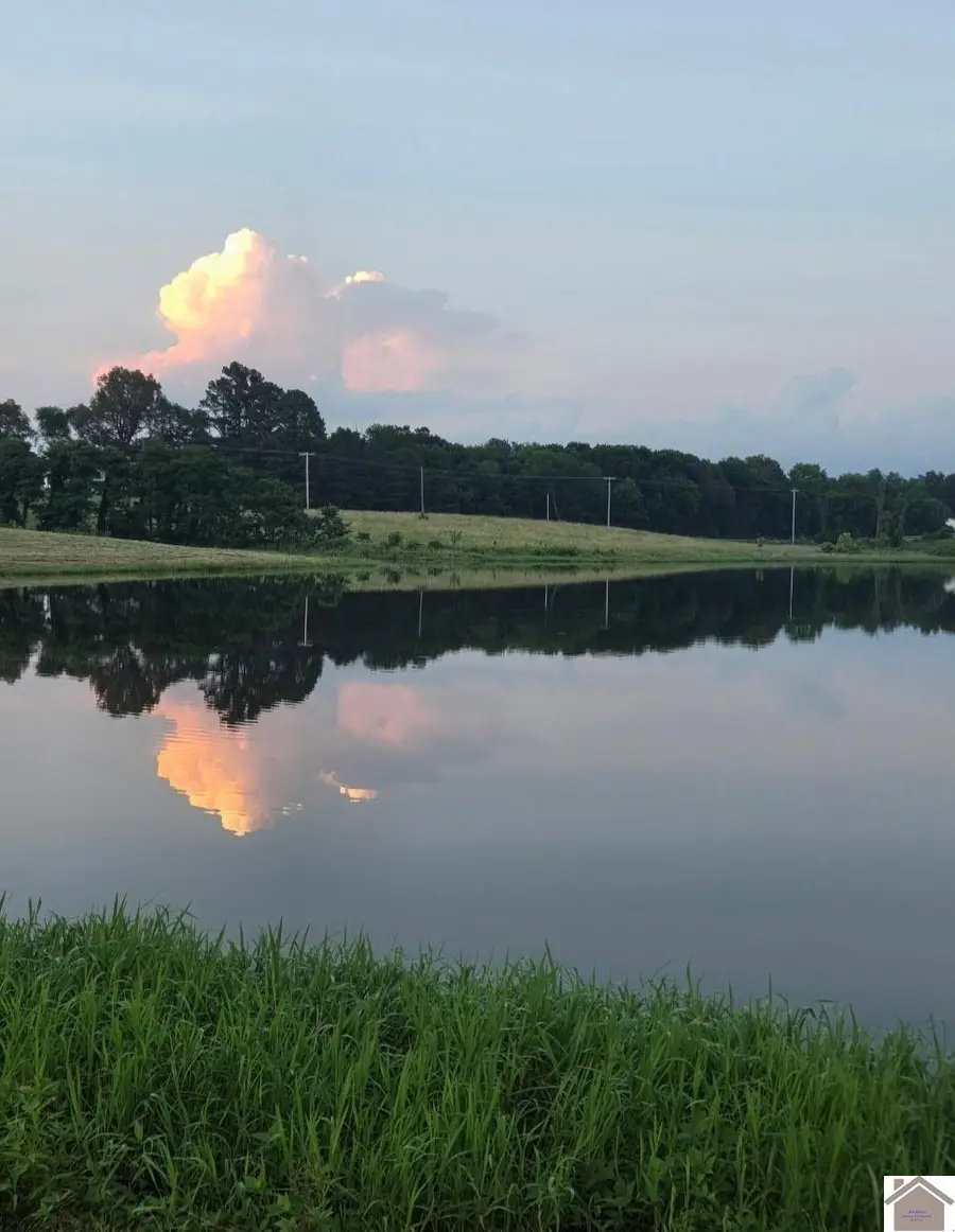 00 State Route 339, Mayfield, KY 42066 - #3