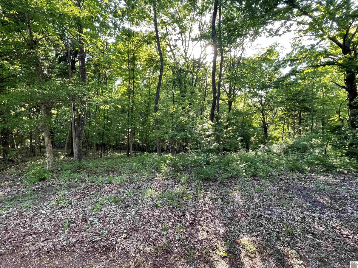 Lots14x,15x,16x Pines Circle, Cadiz, KY 42211 - #1