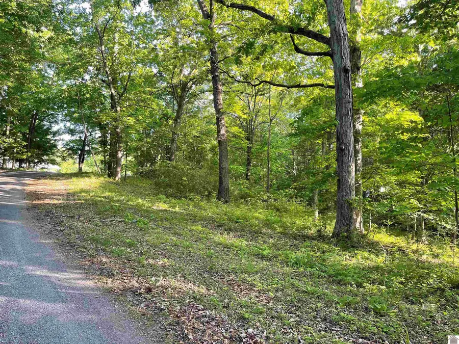 Lots14x,15x,16x Pines Circle, Cadiz, KY 42211 - #2