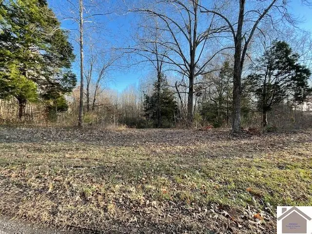 Lots 1x,2x,3x Pines Circle, Cadiz, KY 42211 - #3