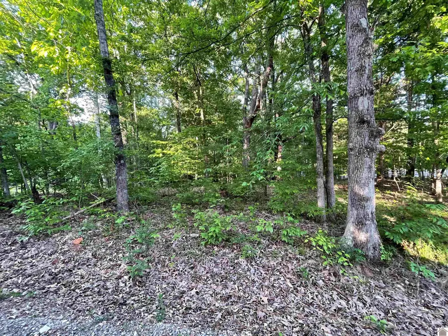 Lots 4x, 5x, 6x Pines Circle, Cadiz, KY 42211 - #2