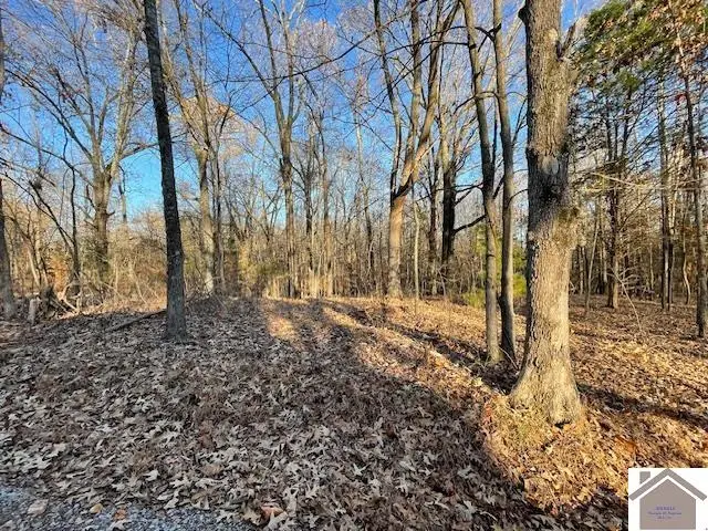 Lots 4x, 5x, 6x Pines Circle, Cadiz, KY 42211 - #3