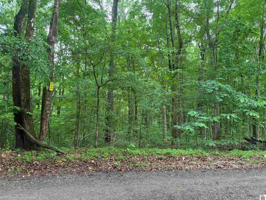 000 Redwood Dr, Cadiz, KY 42211 - #3