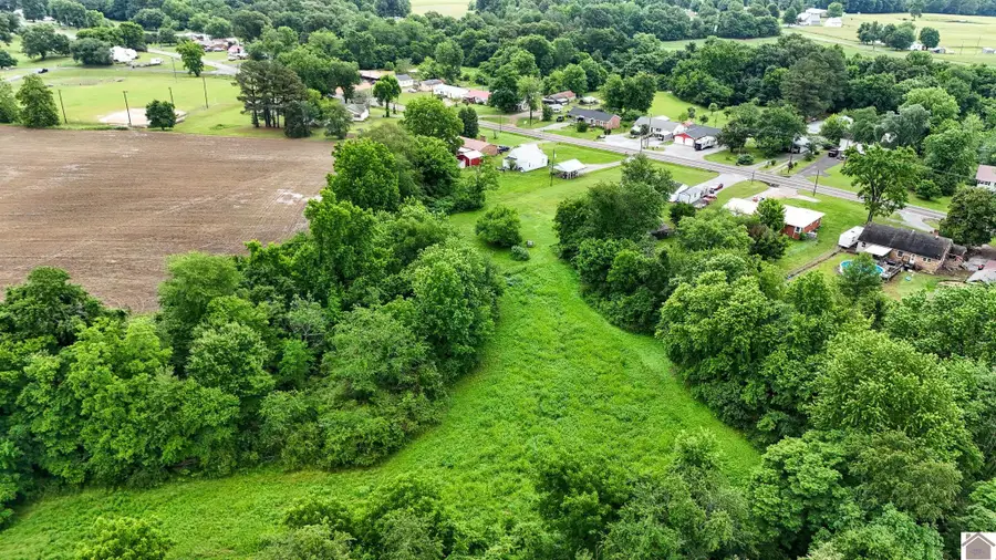 10265 Us Hwy 45 S, Wingo, KY 42088 - #3