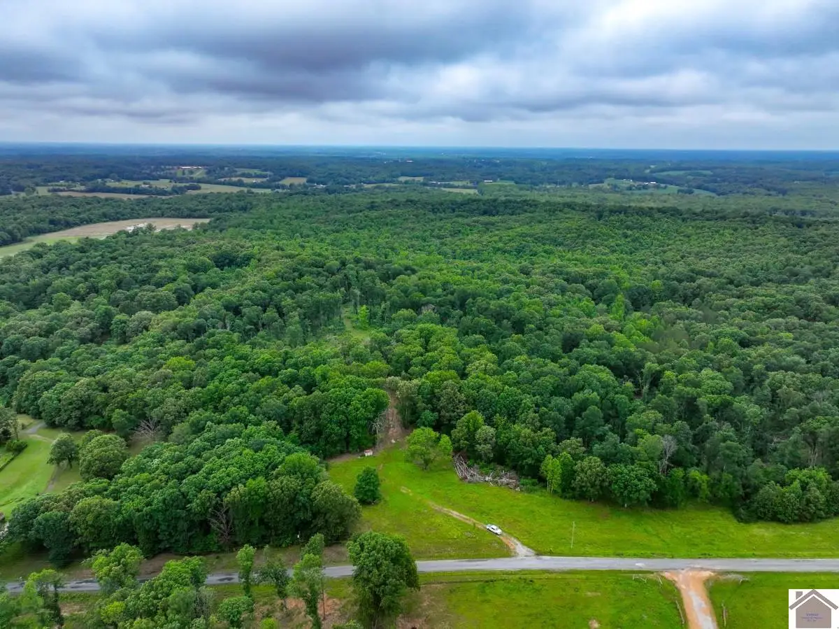 665 Goodwin Drive, Dexter, KY 42036 - #1