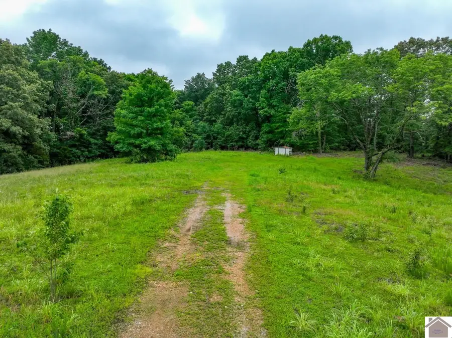 665 Goodwin Drive, Dexter, KY 42036 - #2
