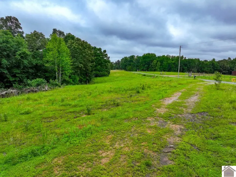 665 Goodwin Drive, Dexter, KY 42036 - #3