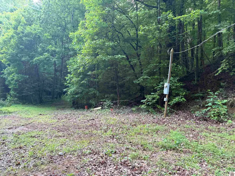 7113 Linton Road, Cadiz, KY 42211 - #2