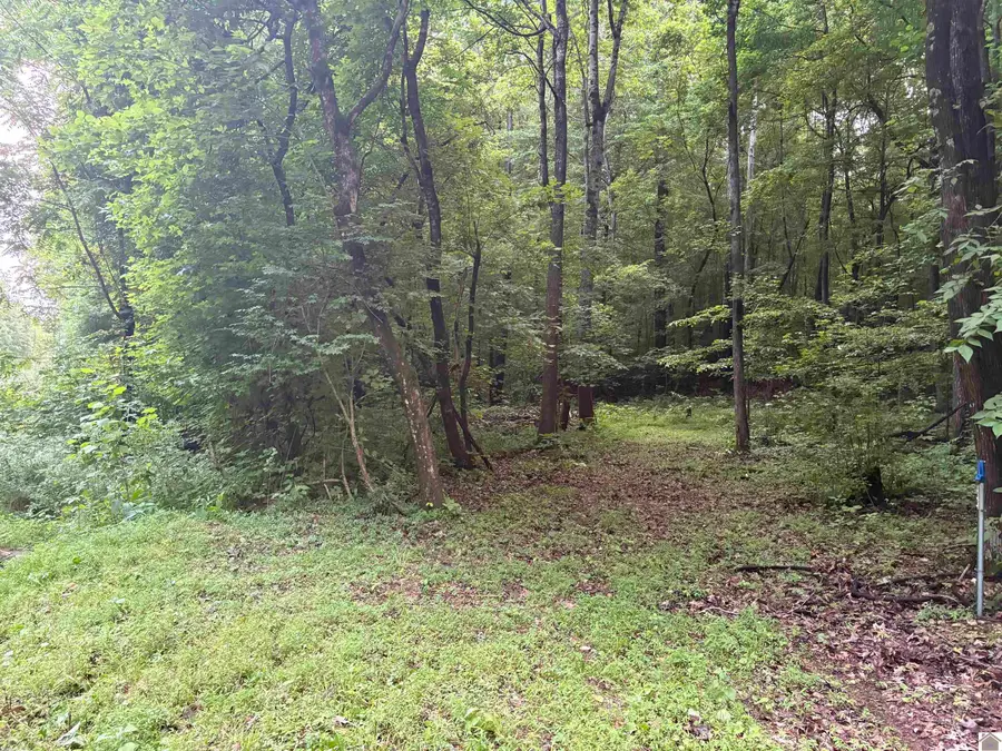 7113 Linton Road, Cadiz, KY 42211 - #3