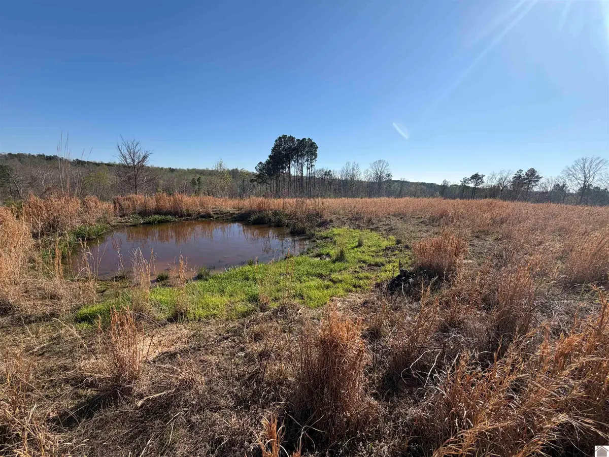 000 Fire Tower Rd., Cadiz, KY 42211 - #1