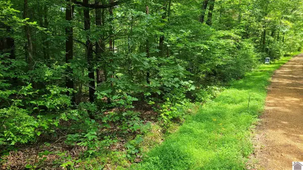 0 Sand Drive, Murray, KY 42071