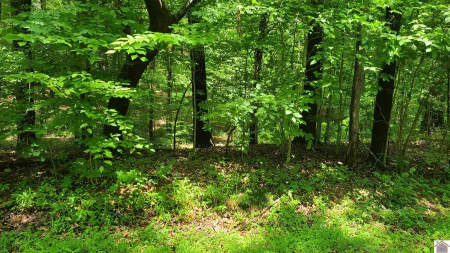 0 Sand Drive, Murray, KY 42071 - #3