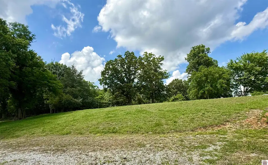 42 Meadowlark Lane, Eddyville, KY 42038 - #3
