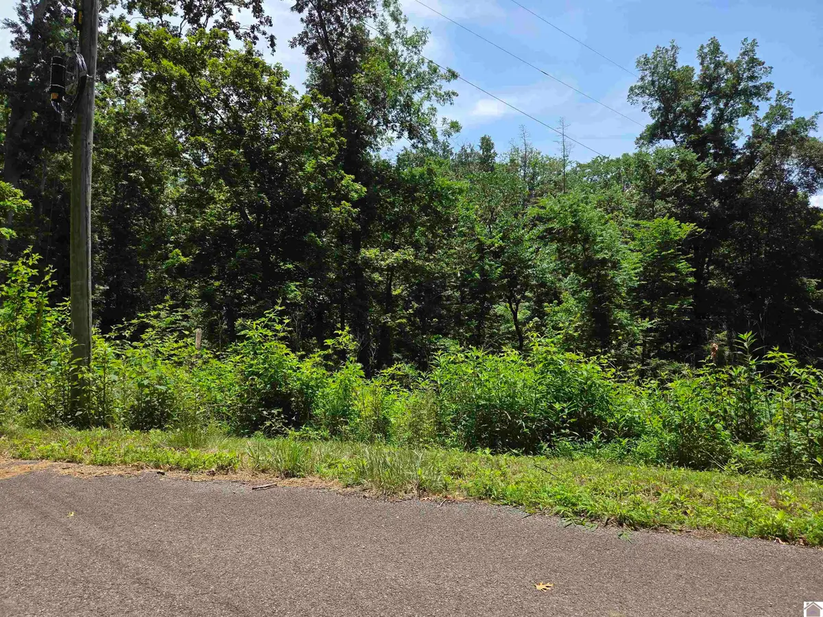 Lot 68/69 Baker Lane, Cadiz, KY 42211 - #1