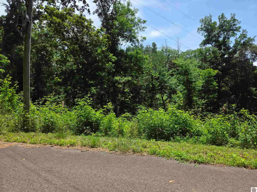 Lot 68/69 Baker Lane, Cadiz, KY 42211 - #2