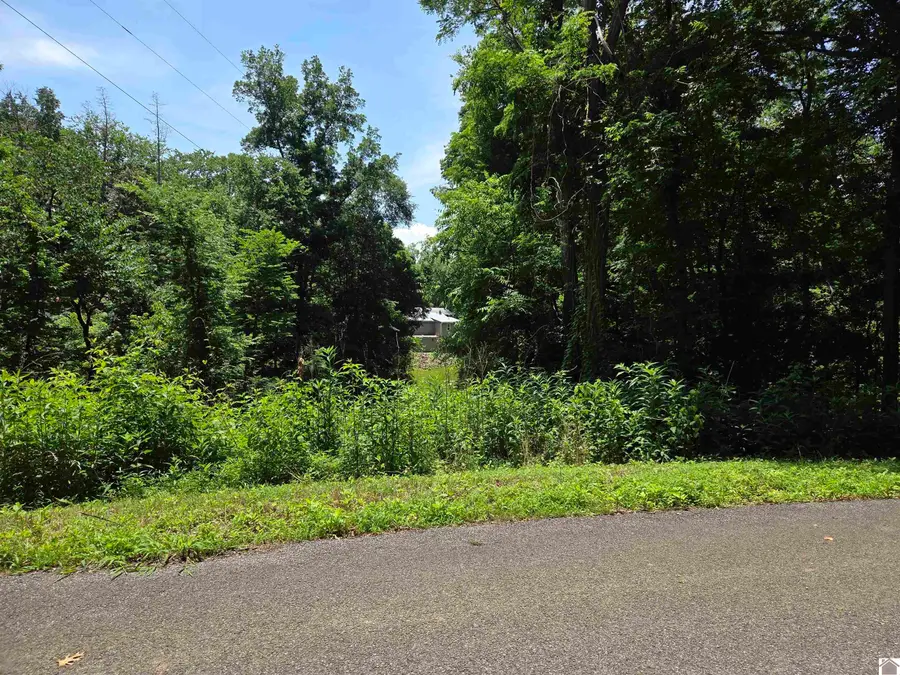Lot 68/69 Baker Lane, Cadiz, KY 42211 - #3