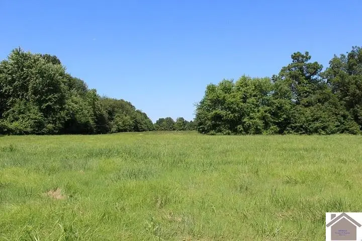 1511 Cuba Rd, Mayfield, KY 42066 - #1