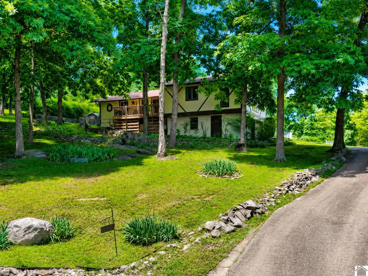 212 Bayview Drive, Eddyville, KY 42038 - #1