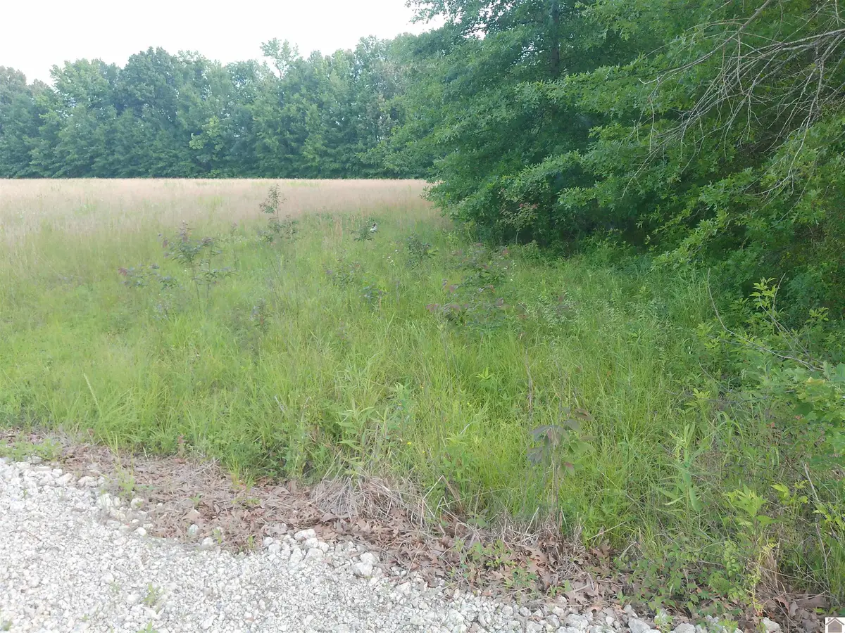 3955 - 4400 Shemwell Lane, Paducah, KY 42003 - #1