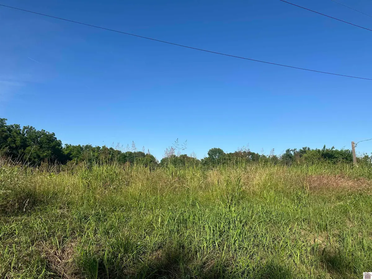1108 Union City Hwy, Hickman, KY 42050 - #1